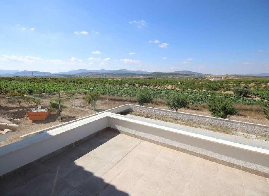 Obra nueva - Villa -
Pinoso - Camino Del Prado