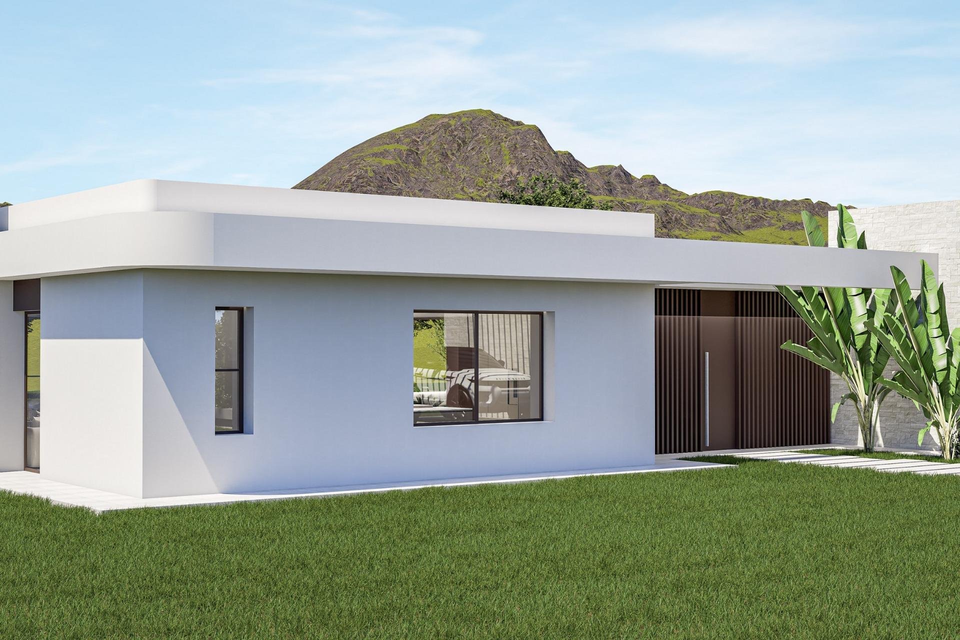Obra nueva - Villa -
Pinoso - Lel