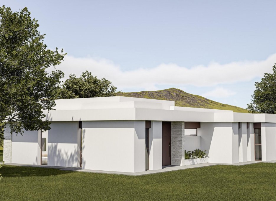 Obra nueva - Villa -
Pinoso - Lel