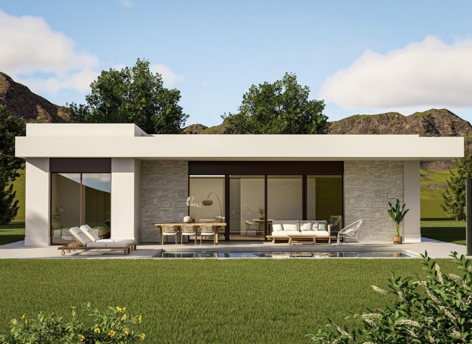 Obra nueva - Villa -
Pinoso - Lel
