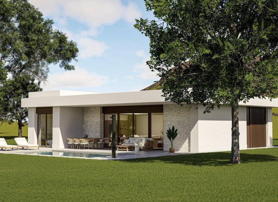 Obra nueva - Villa -
Pinoso - Lel