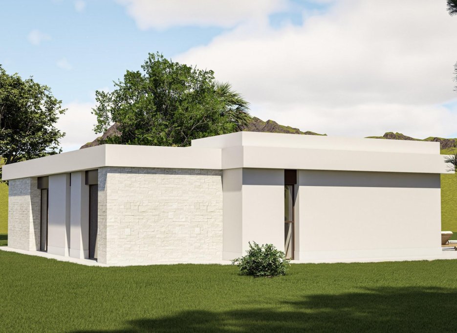 Obra nueva - Villa -
Pinoso - Lel