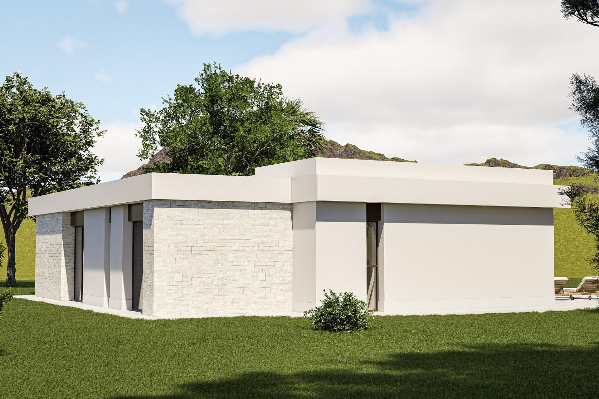 Obra nueva - Villa -
Pinoso - Lel