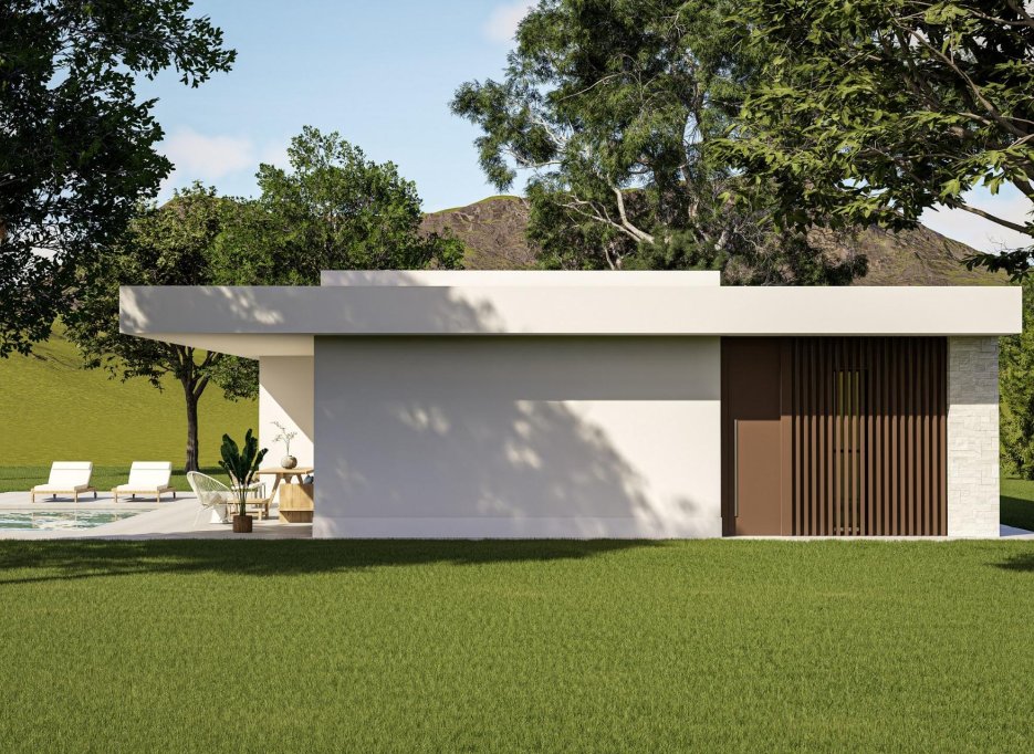 Obra nueva - Villa -
Pinoso - Lel