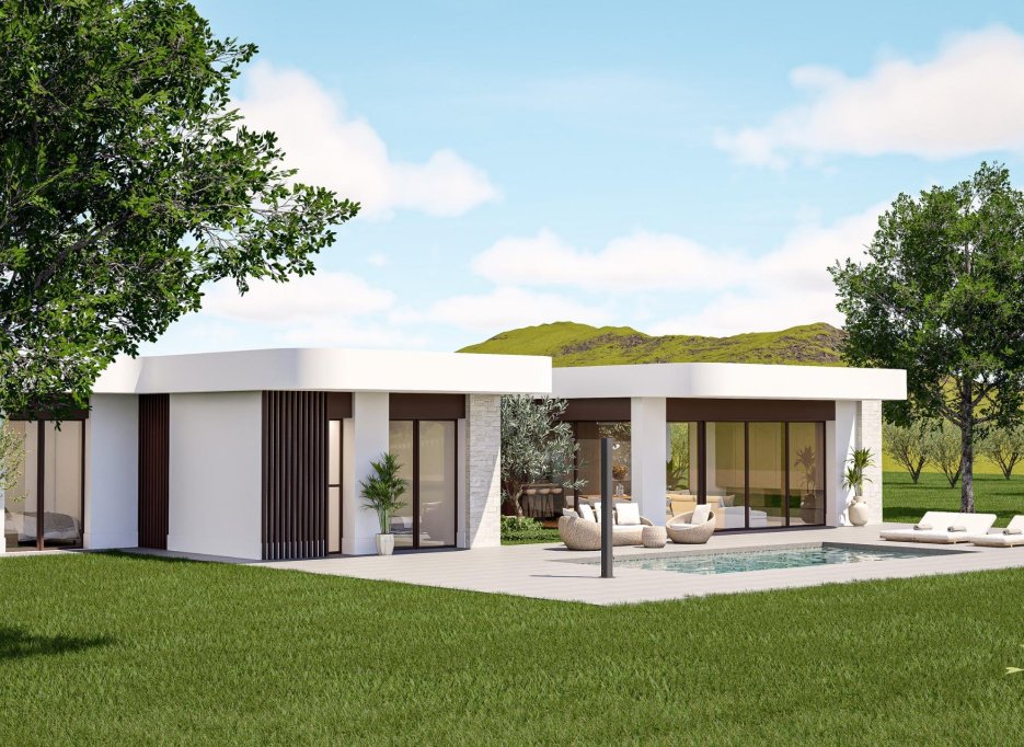 Obra nueva - Villa -
Pinoso - Lel
