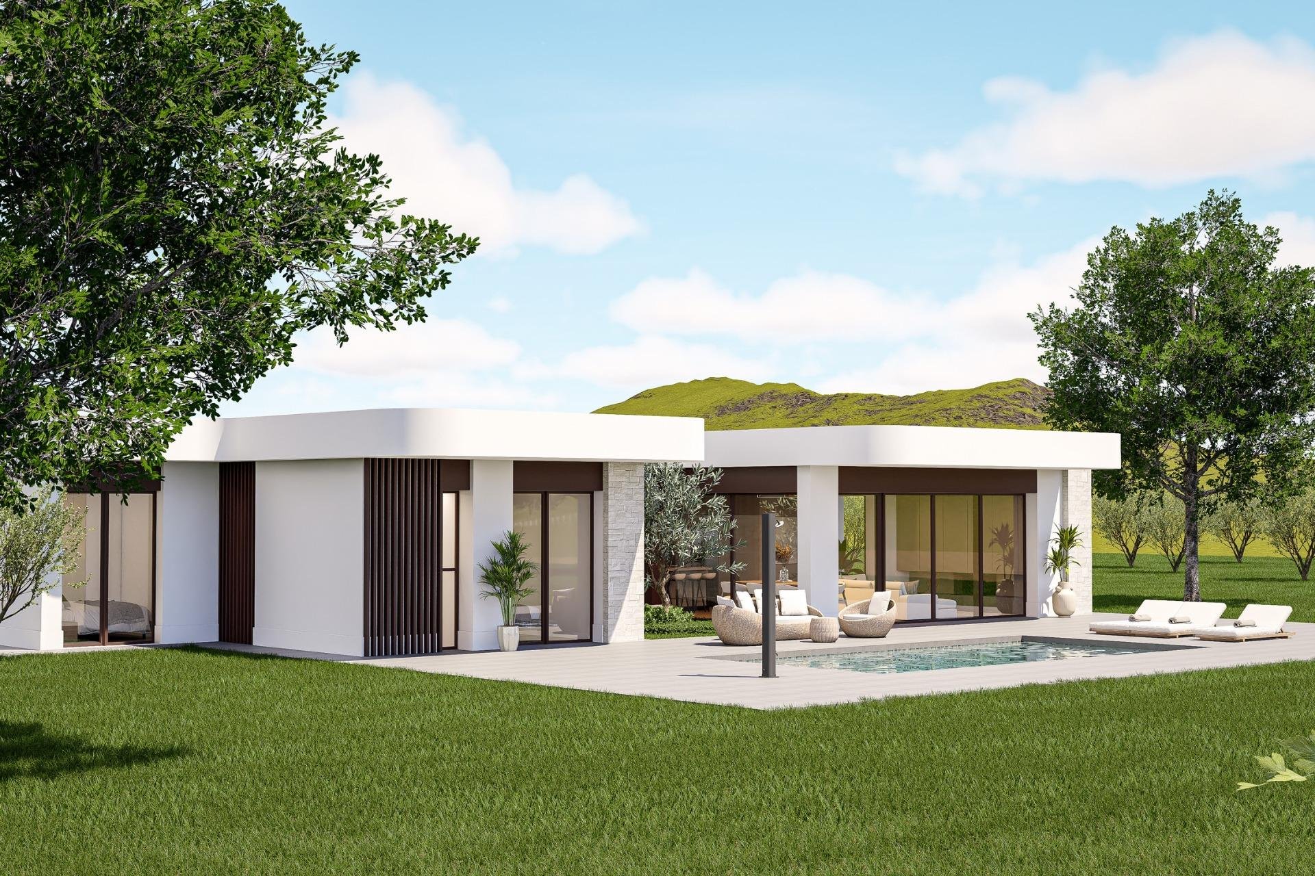 Obra nueva - Villa -
Pinoso - Lel