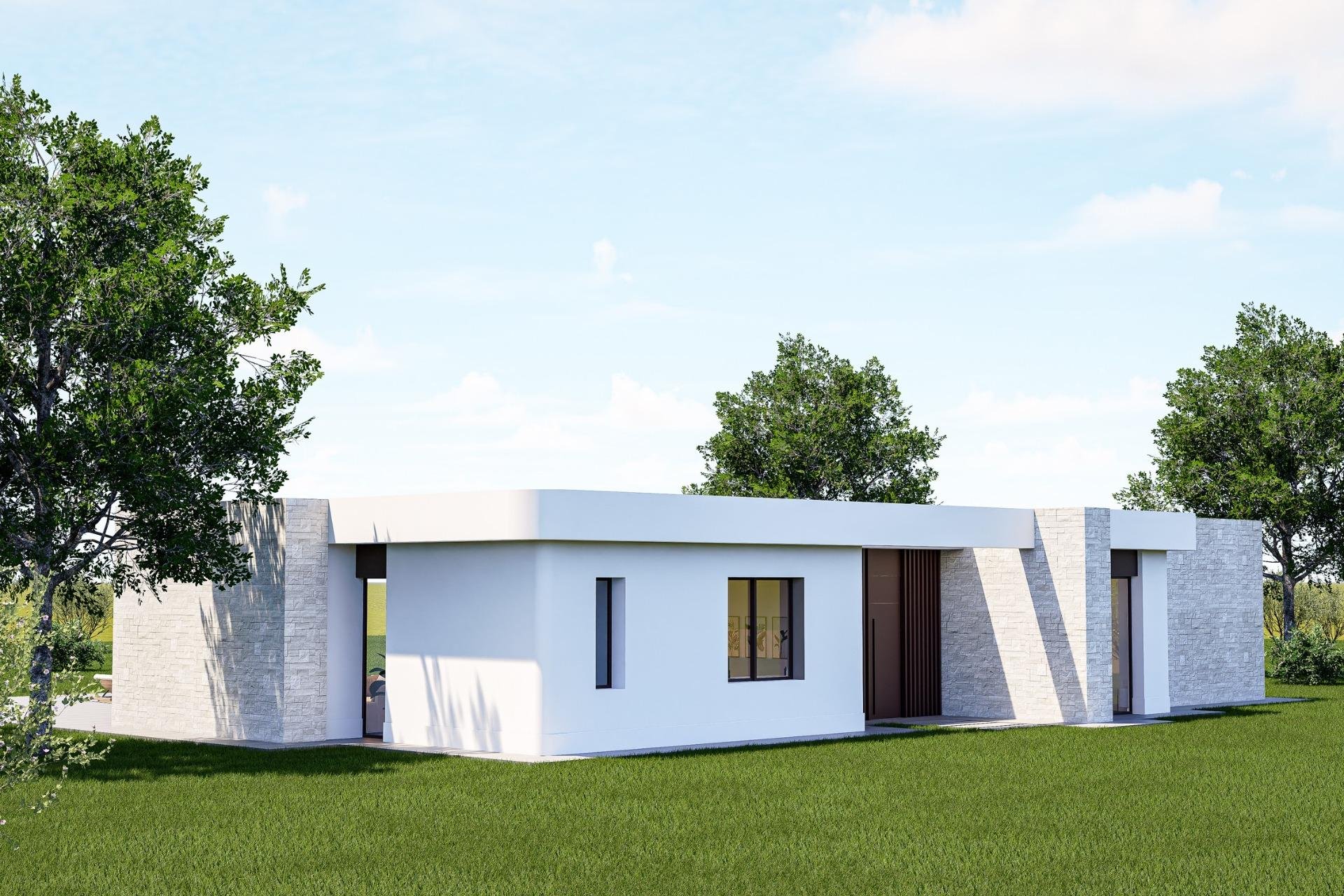 Obra nueva - Villa -
Pinoso - Lel