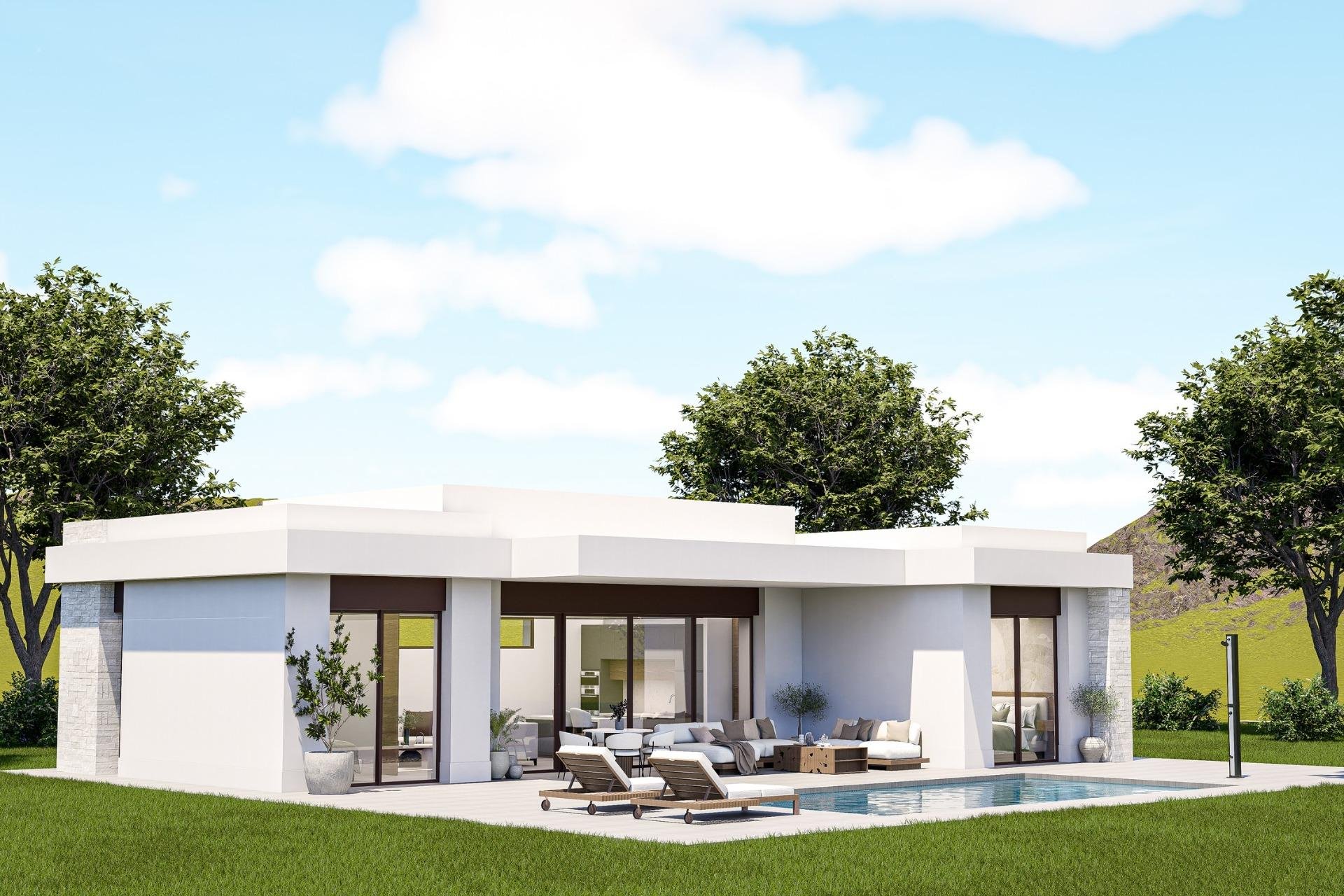 Obra nueva - Villa -
Pinoso - Lel