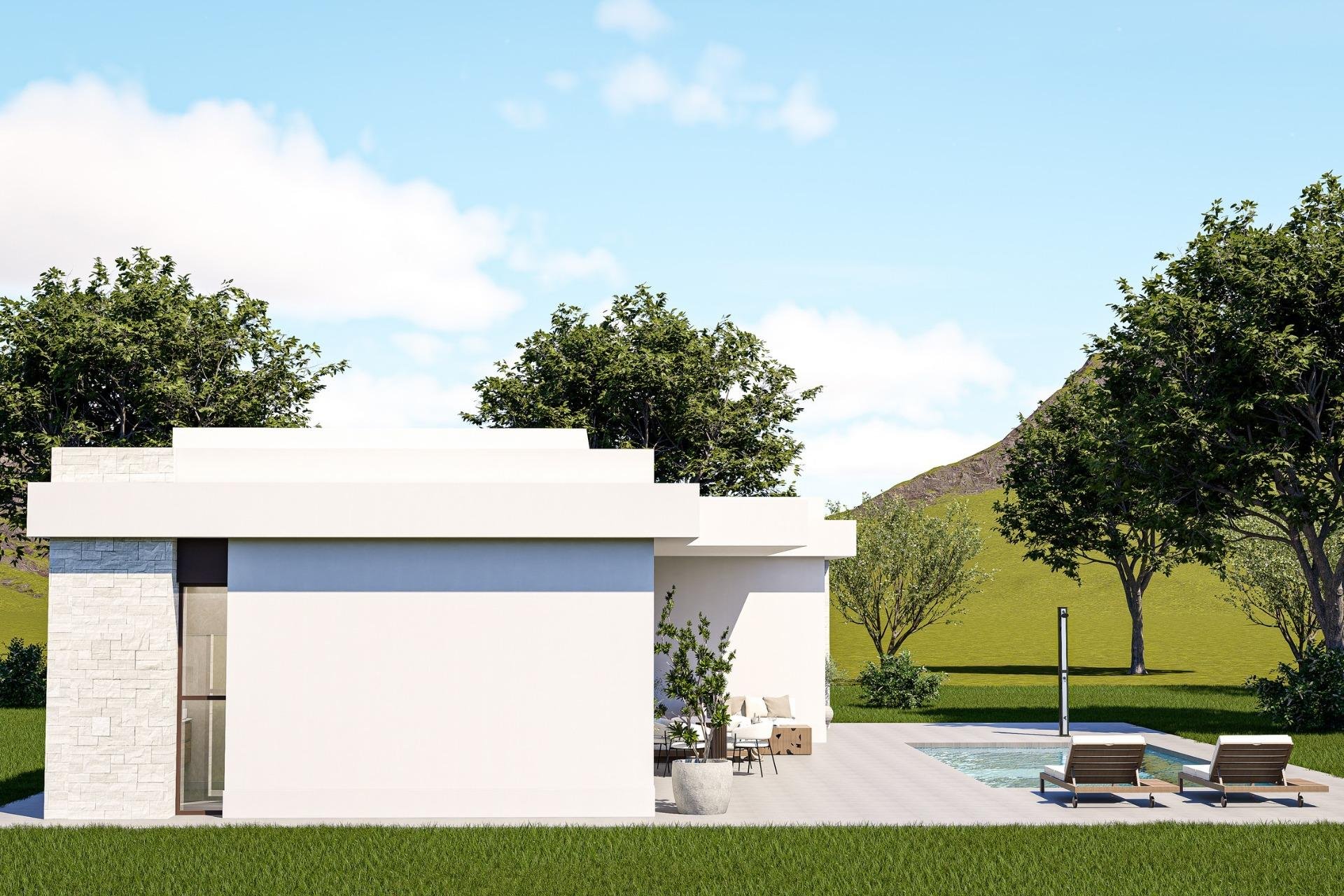 Obra nueva - Villa -
Pinoso - Lel