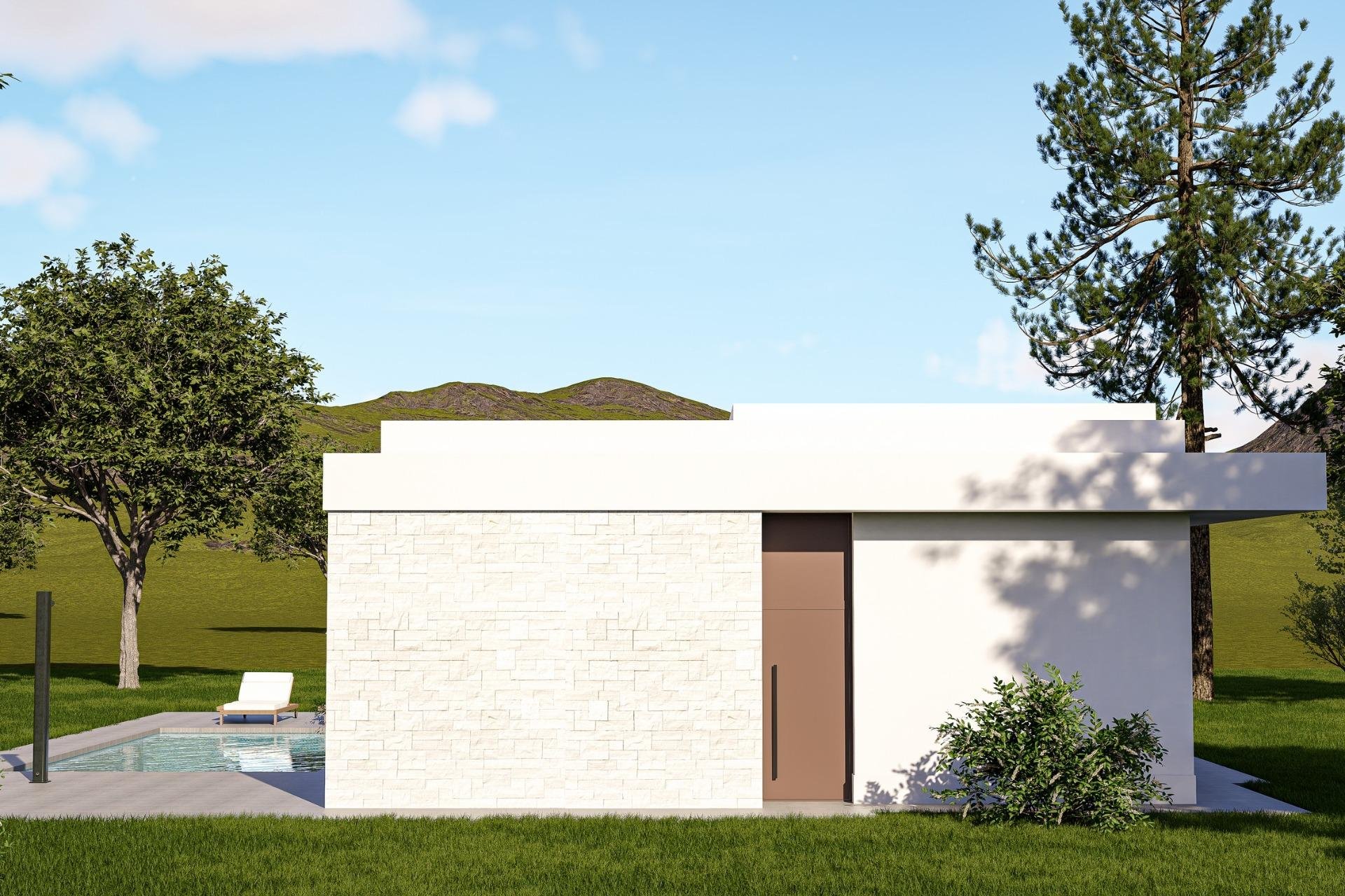 Obra nueva - Villa -
Pinoso - Lel