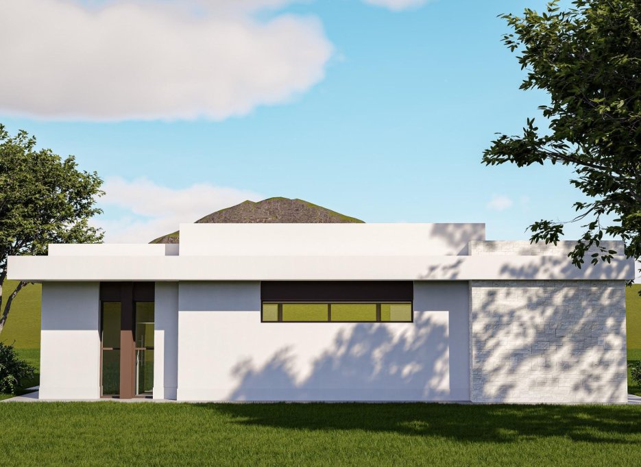 Obra nueva - Villa -
Pinoso - Lel