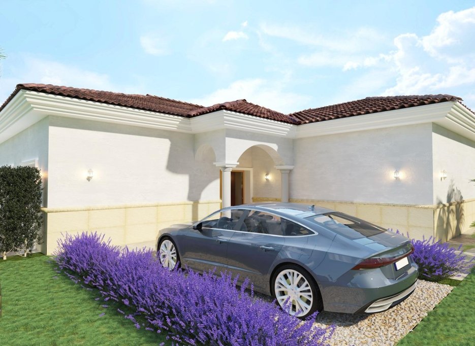 Obra nueva - Villa -
Pinoso - Rodriguillo