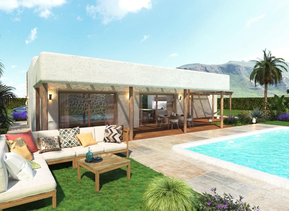 Obra nueva - Villa -
Pinoso - Rodriguillo