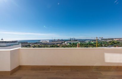 Penthouse - New Build - Alicante -
                Benalua