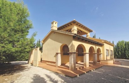 Villa - New Build - Fuente Álamo -
                Las Palas