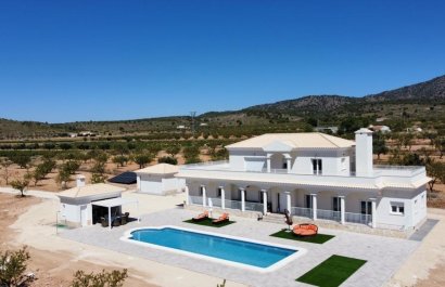 Villa - New Build - Pinoso - Camino Del Prado