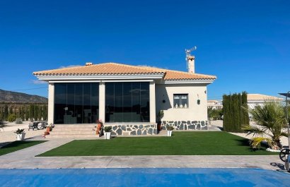 Villa - New Build - Pinoso -
                Camino Del Prado