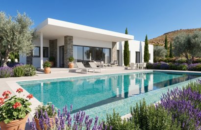 Villa - New Build - Pinoso - Casas Pastor