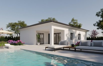 Villa - New Build - Pinoso - Lel