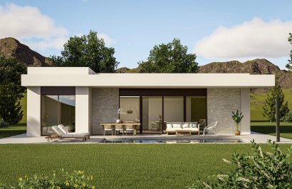 Villa - Nowy budynek - Pinoso - Lel