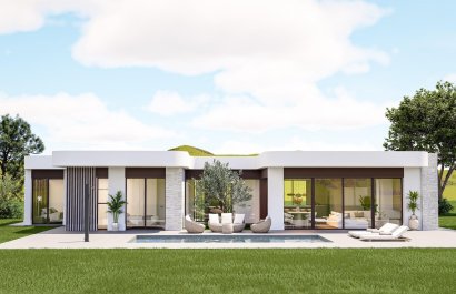 Villa - Nowy budynek - Pinoso - Lel