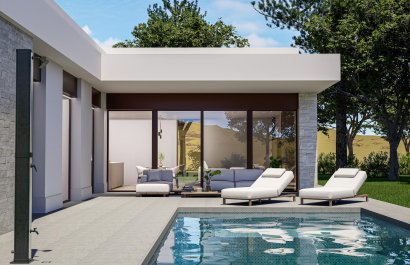 Villa - Obra nueva - Pinoso - Lel