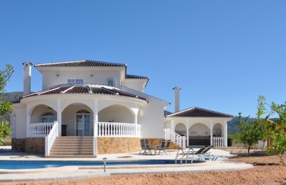 Villa - Obra nueva -
            Pinoso - NB-66759