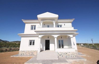 Villa - Obra nueva -
            Pinoso - NB-84409